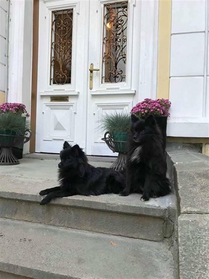 شقة Temptation In Sofia - 24H Self Check-In المظهر الخارجي الصورة